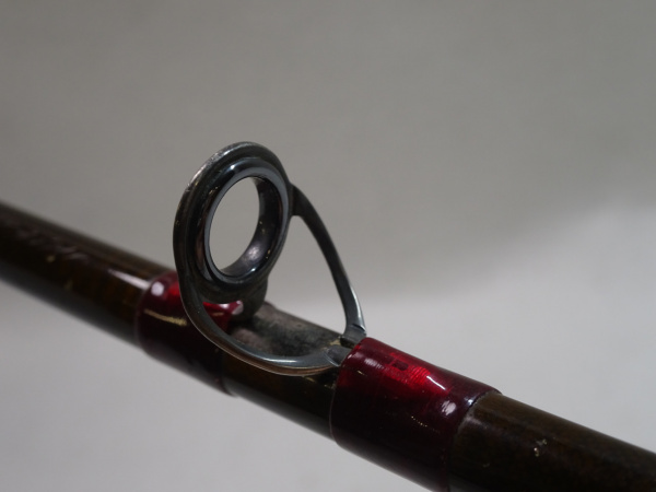 セージ　グラファイト２